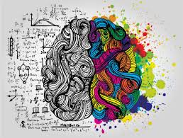 Illustrative brain anatomy gradient placeholder